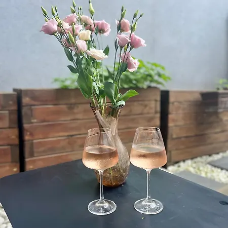 Opera Theatre With A Courtyard דירה